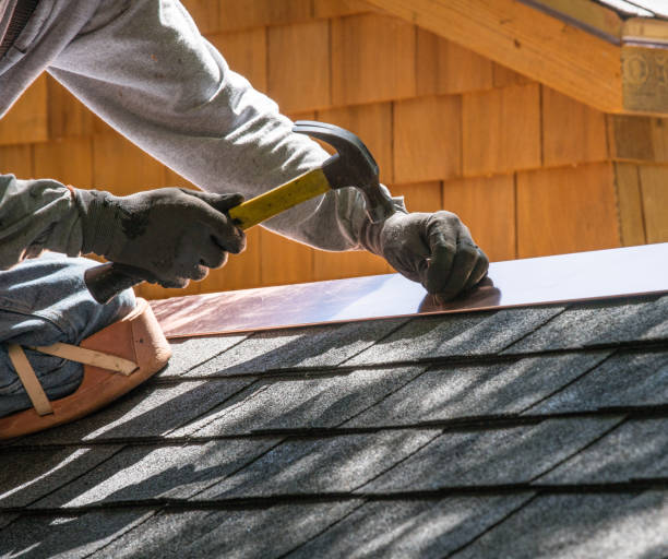 Best Metal Roofing Contractor  in San Elizario, TX